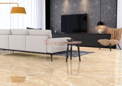 Gạch Ốp Lát APODIO 66283003